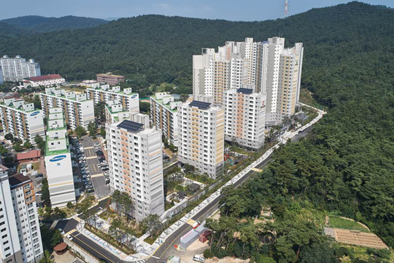 Humus bricks on site